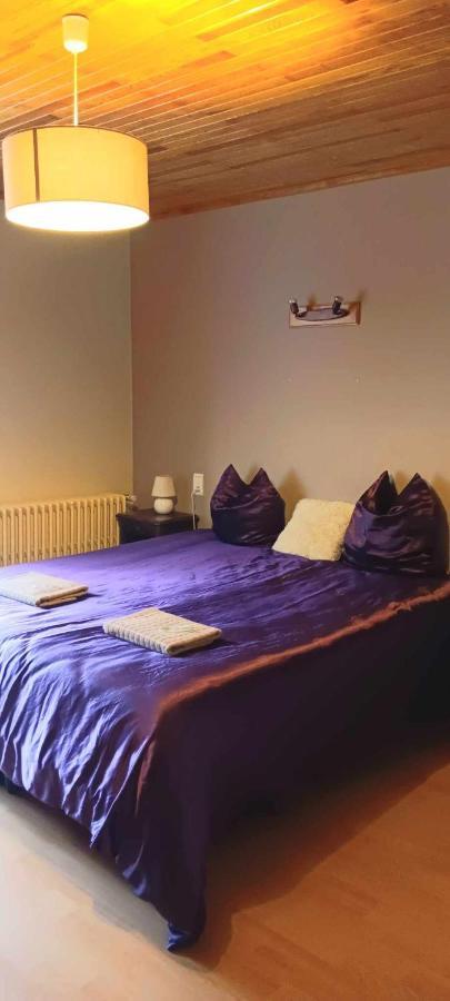 Le Retro Bed & Breakfast La Chapelle-d'Abondance Exterior photo